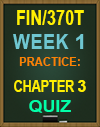 FIN/370T Week 1 Practice: Chapter 3 Quiz